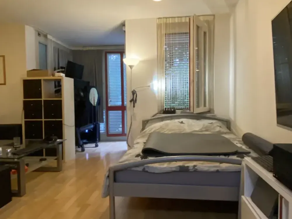Sunny 1-Room Apartment with Small Garden Area