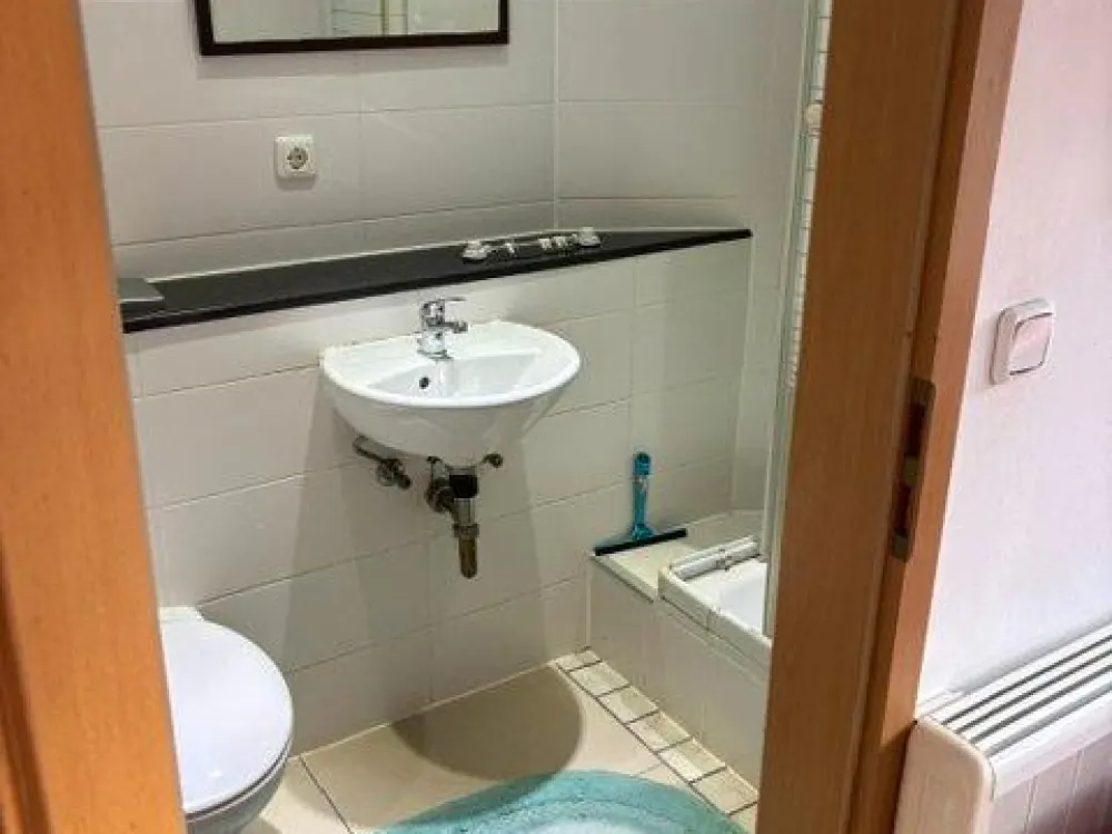 Möbliertes 1-Zimmer-Apartment in Leipzig, zu vermieten