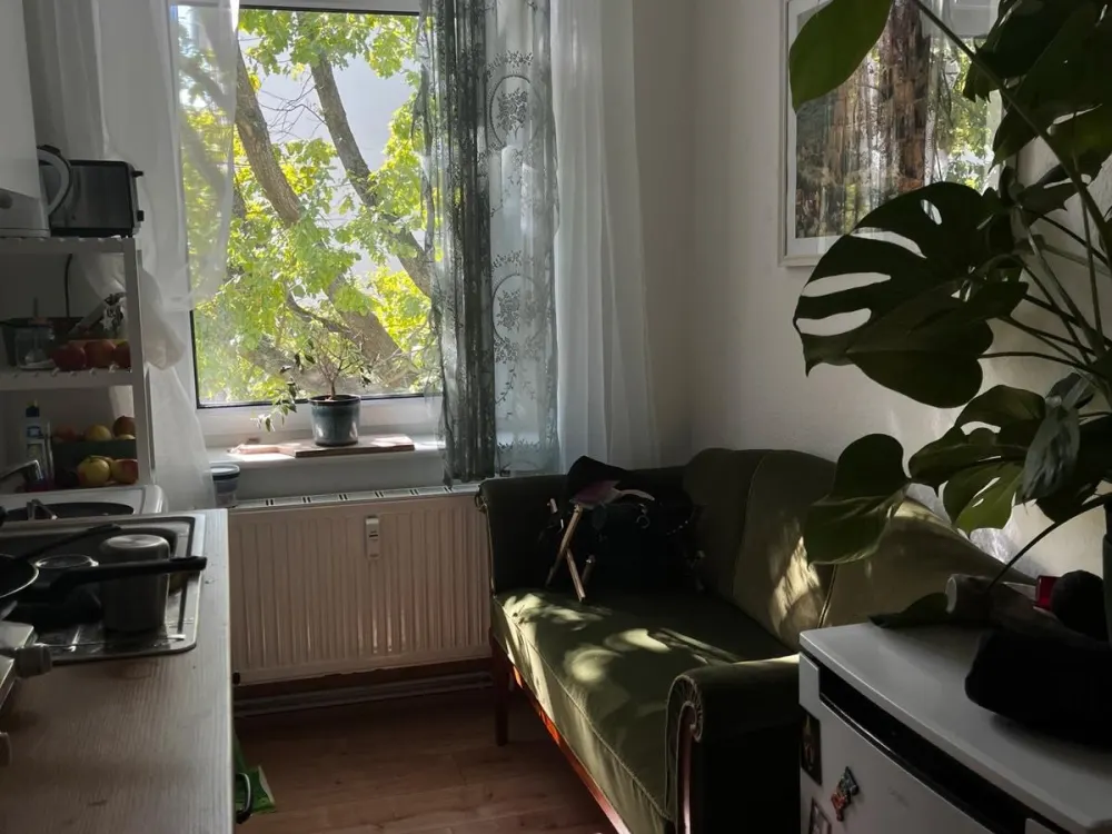 NACHMIETER GESUCHT Schöne Wohnung in Dresden Blasewitz