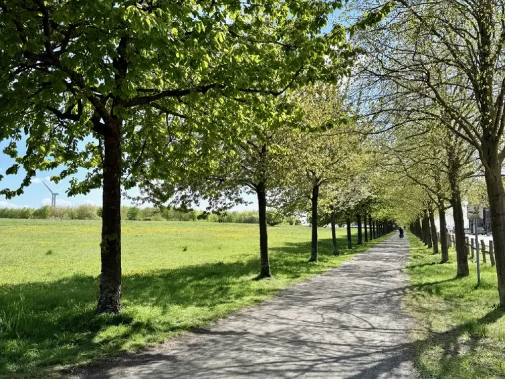 Neubau Hannover KRONSRODE (A4): EBK, Terrasse + Garten, Tageslichtbad, Fußbodnhzng, Keller, Lift, TG