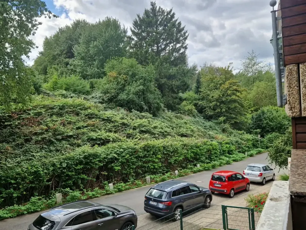 Quiet Living in Green Surroundings - Newly Renovated and Well Connected