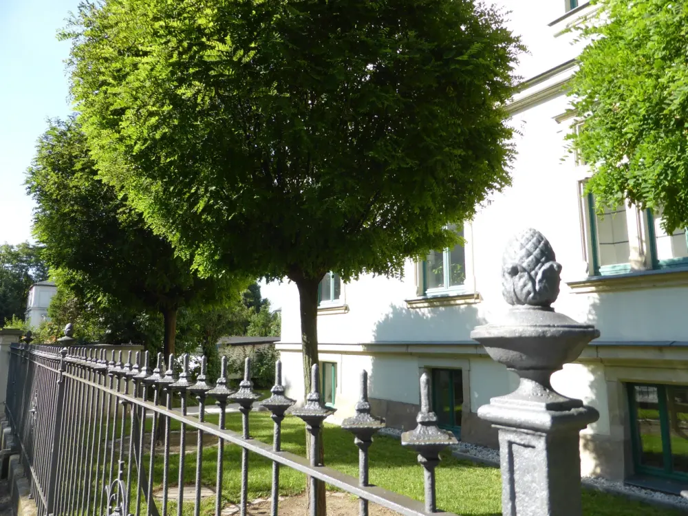 Quiet 2-Room Apartment with Garden Use Near University (DD-Plauen) incl. Fitted Kitchen