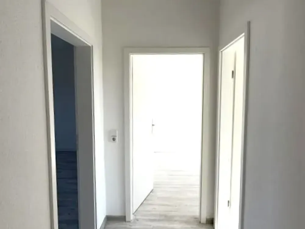 الشقق الشعبية تُؤجر بسرعة.