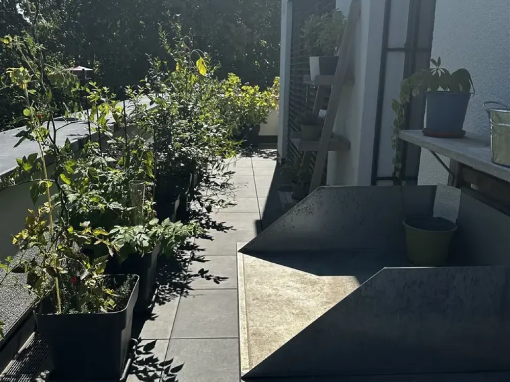 2 Raum Wohnung mit großem Balkon