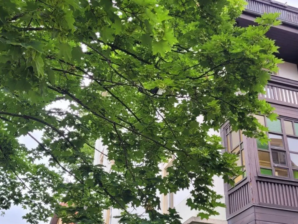 5-Raum Wohnung