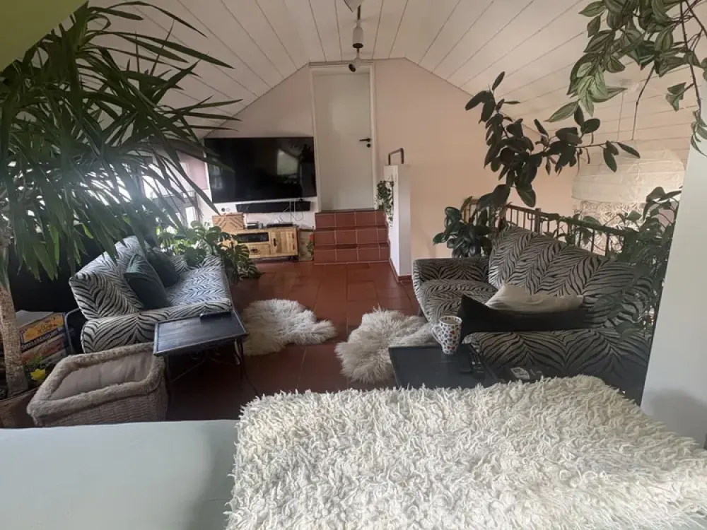 Schöne, cozy WG Neugründung 🥰