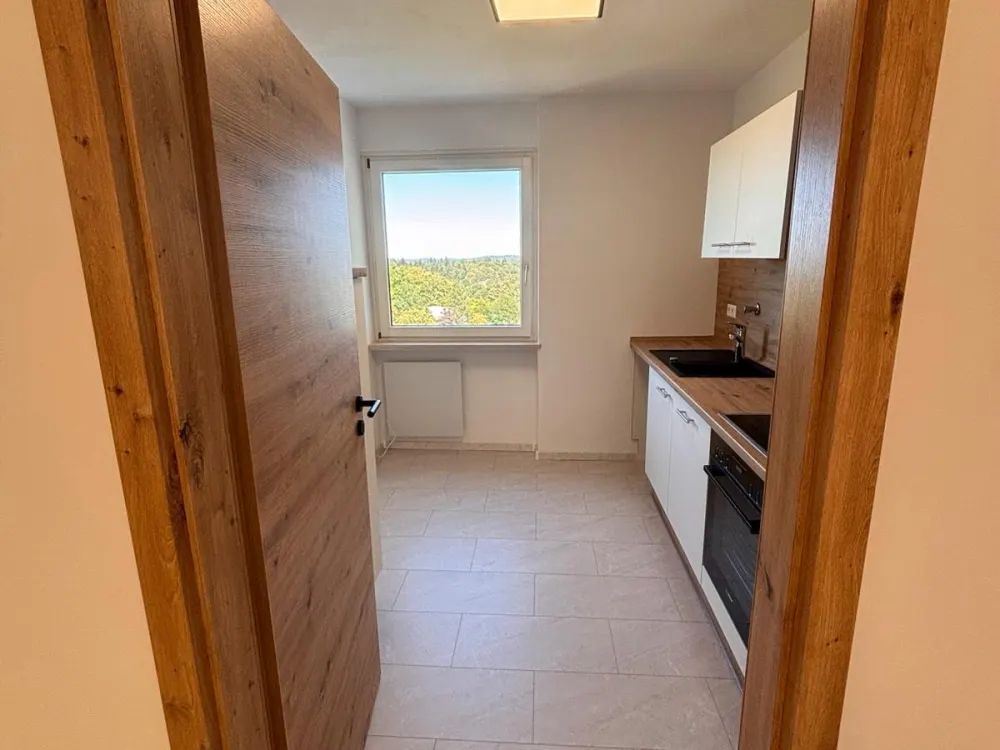 Renovierte Wohnung mit Panoramablick