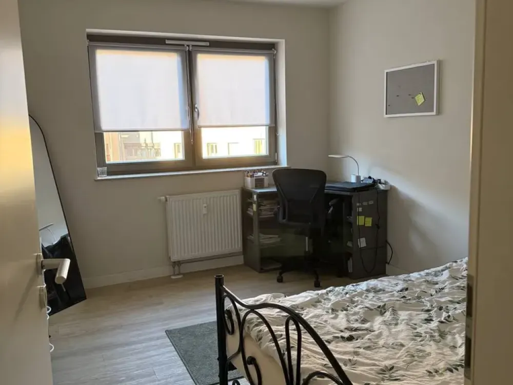 Bright 2-Room Apartment in Central Location in Dresden with Furniture Takeover