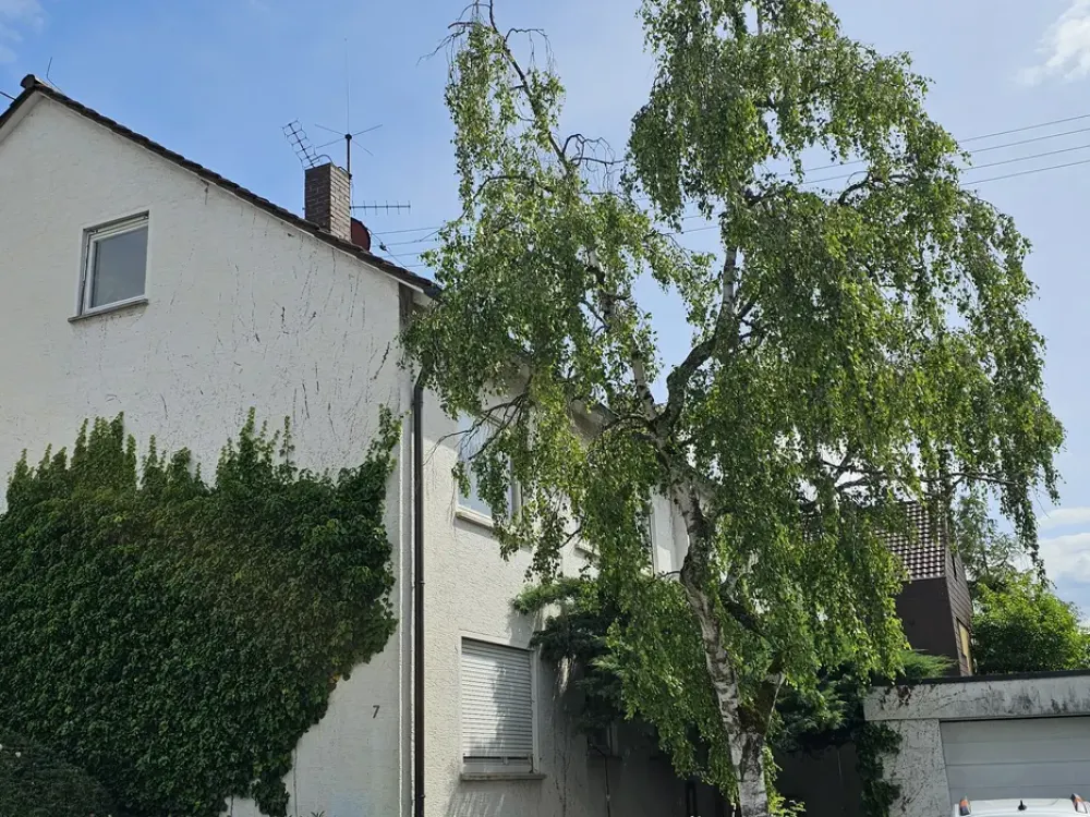 3-Zimmer-Wohnung in zentraler Lage