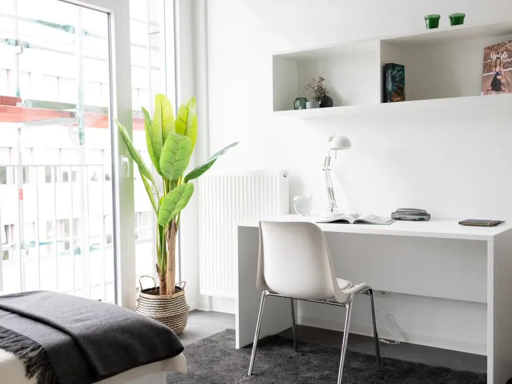 Zentral und modern: Möbliertes Apartment mit großzügigem Balkon in Düsseldorf Rath