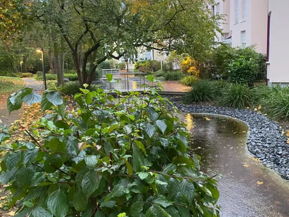 Two Rooms in Schlebusch: Living with Good Connections
