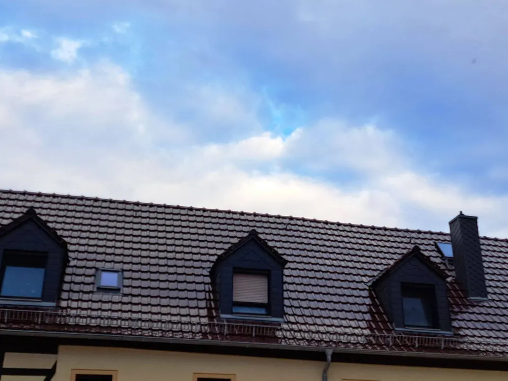 Wohnung im Grünen in Dresden-Süd Nähe Kaufpark Nickern