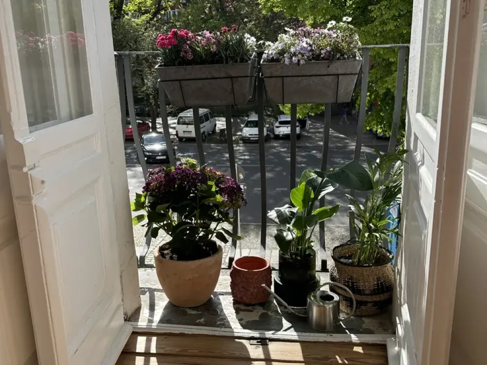 Exklusive charmante Altbauwohnung, Nähe Schloss Charlottenburg (möbliert und all-inclusive)