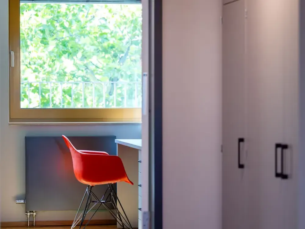Zugvogel sucht Nest? - 2 Zimmer möbliert mieten, wunderbar wohnen - im HUMMINGBIRD