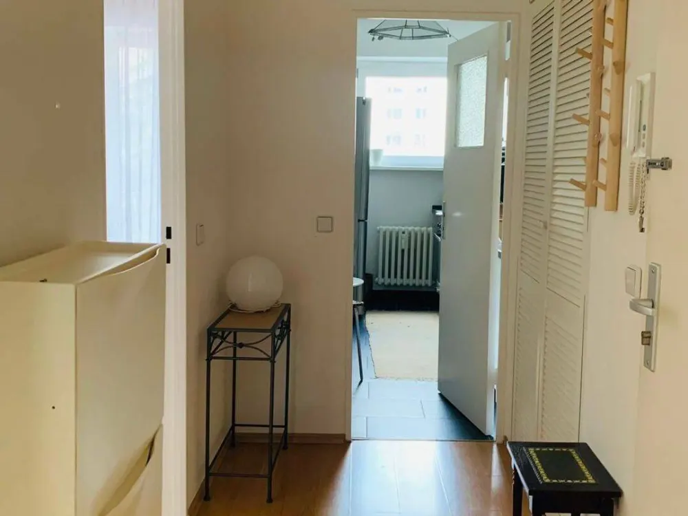 helle gepflegt möblierte Wohnung mit Balkon Nähe Hbf ab sofort zum vermieten