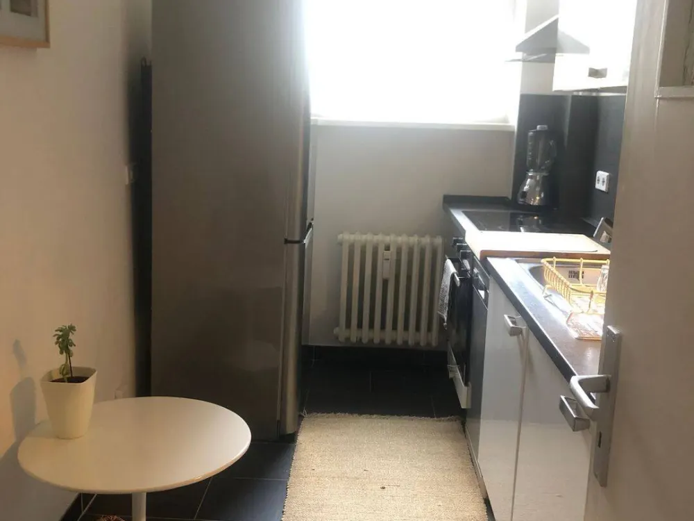 helle gepflegt möblierte Wohnung mit Balkon Nähe Hbf ab sofort zum vermieten