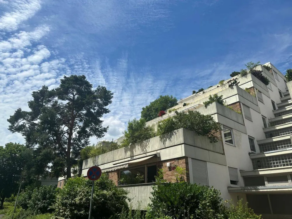 Sunny Apartment with Large Terrace, Swimming Pool, Sauna Directly on the Fulda