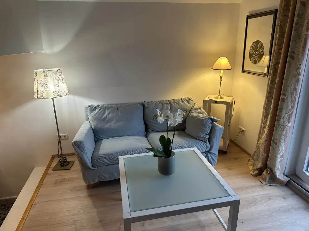 Loft with Luxurious Full Furnishing 1,150 € Cold Rent + Electricity