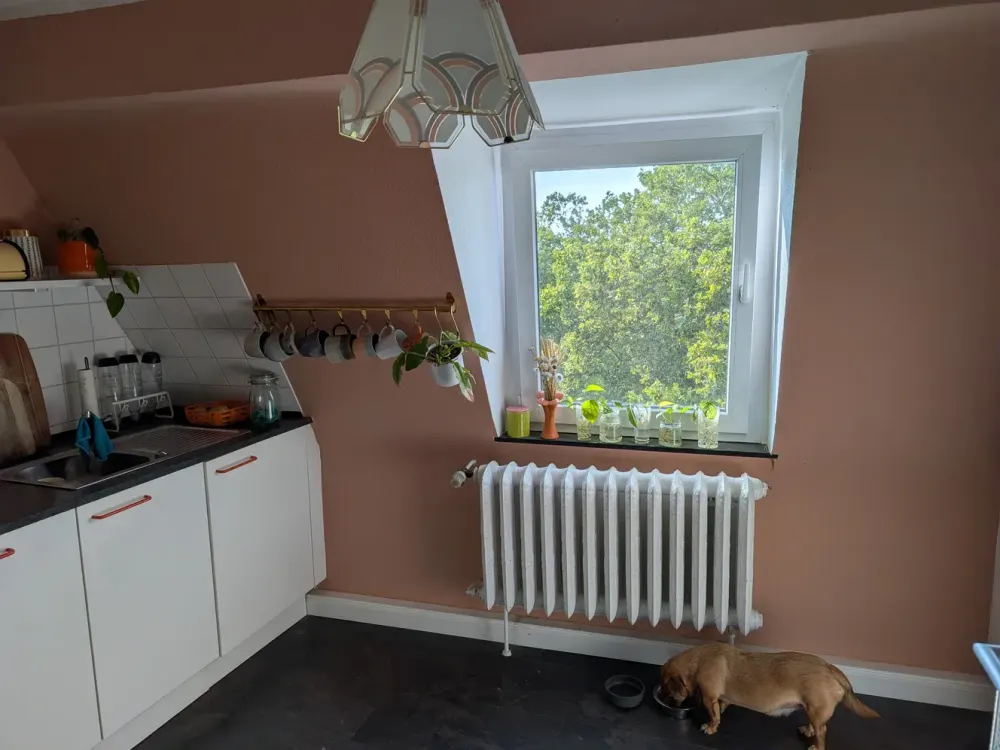 Nachmieter gesucht: 3 Zimmer mit EBK & Blick auf die Agneskirche (leider nicht WG-tauglich)