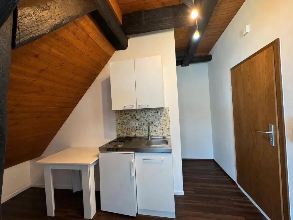 Fully furnished 2-room Apartment