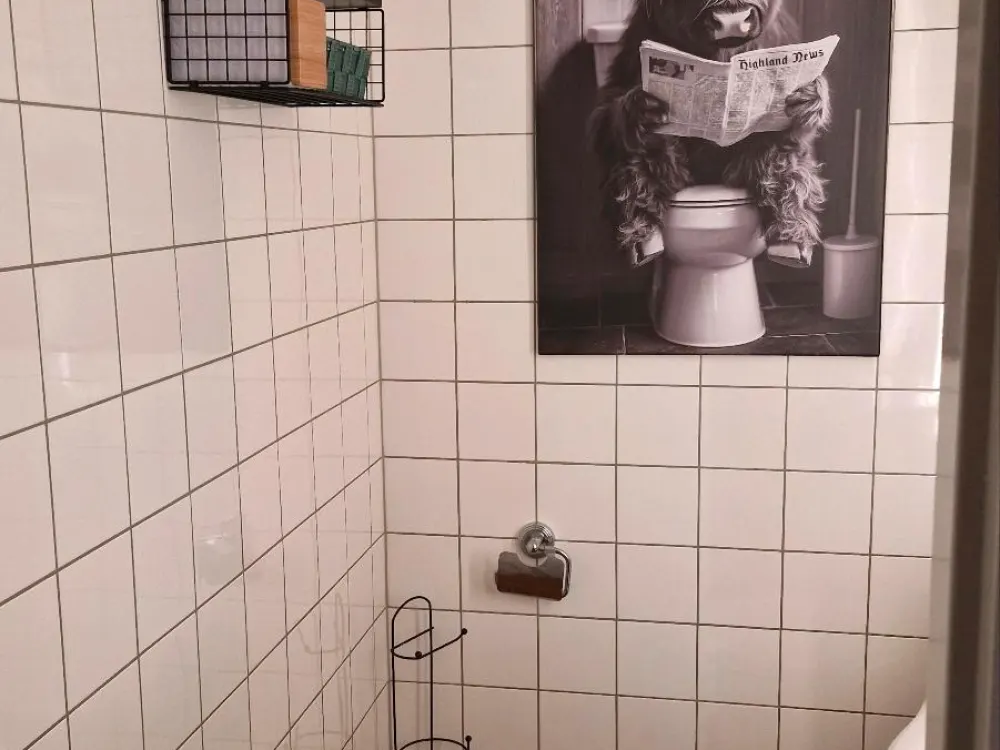 3 Zimmer Wohnung 71m² zum 1.10.26 zu vermieten