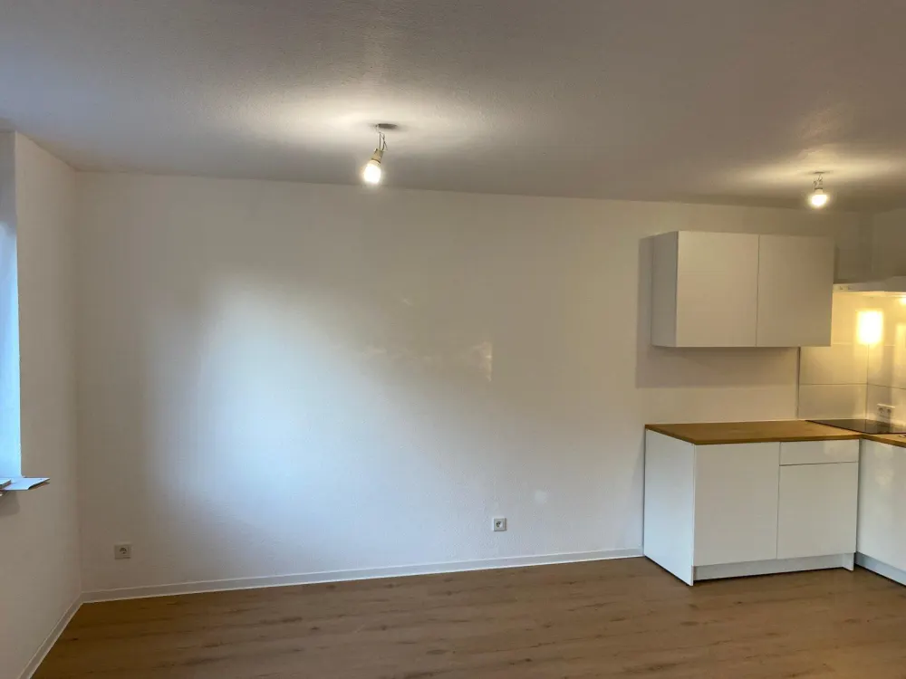 Renovated 1-Room Apartment / 1-Room Kitchen Bathroom Apartment with Fitted Kitchen for Rent