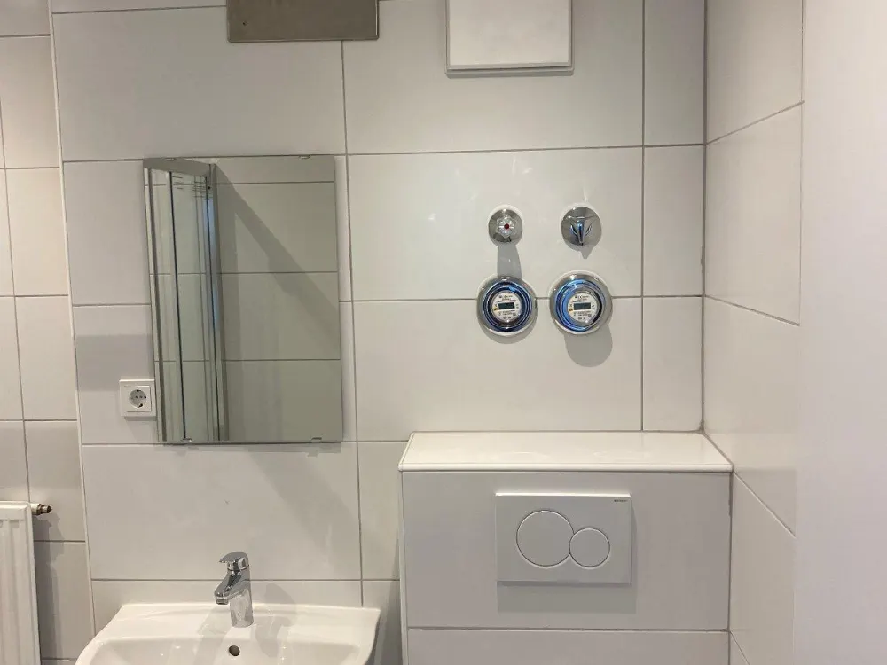 Renovated 1-Room Apartment / 1-Room Kitchen Bathroom Apartment with Fitted Kitchen for Rent