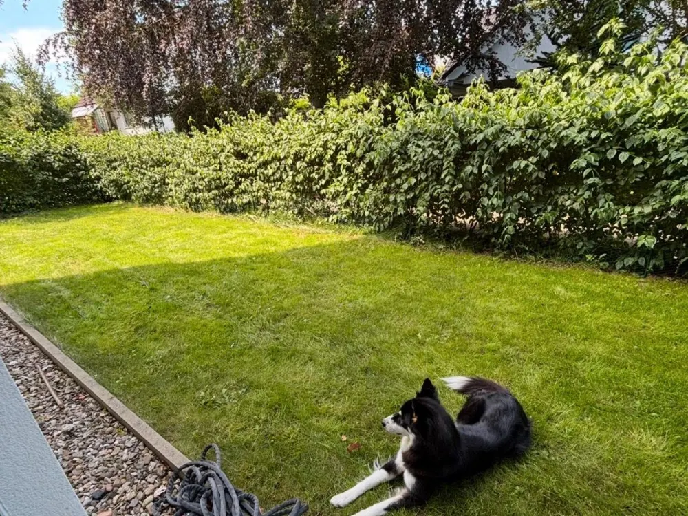Moderne und haustierfreundliche 3-Zimmer-Gartenwohnung in Lahe