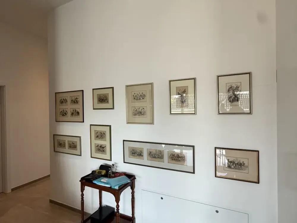 Modern 3-Room Penthouse Apartment with Large Roof Terrace and Elevator in Bad Lippspringe
