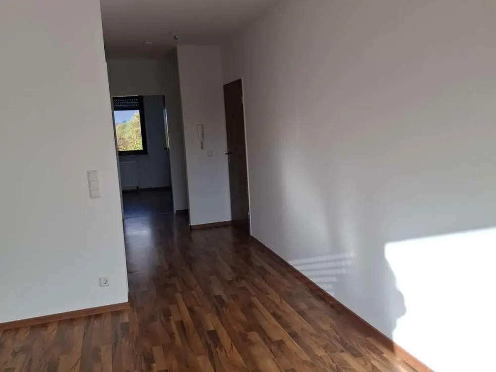 Newly Renovated 2-Room Apartment with Kitchen and Bathroom