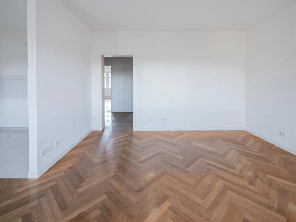 Schicke Altbauwohnung nahe den Elbwiesen. Balkon, Parkett, Wanne, offene Küche, etc.