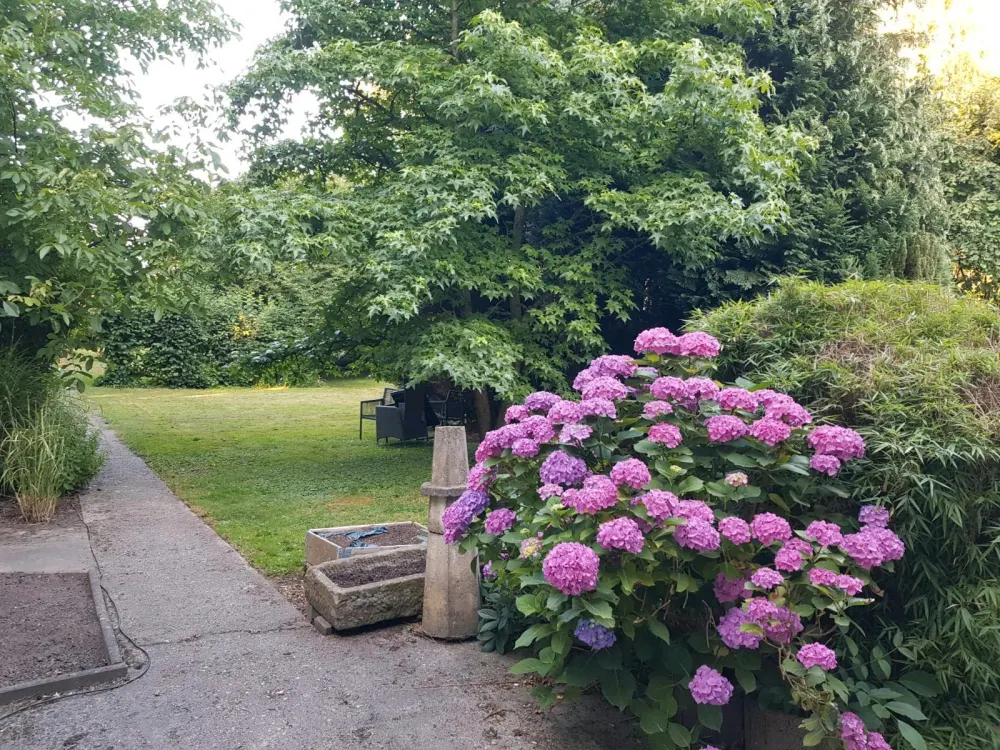Traumwohnung nach Kernsanierung! 2 Zimmer, Terrasse & Garten