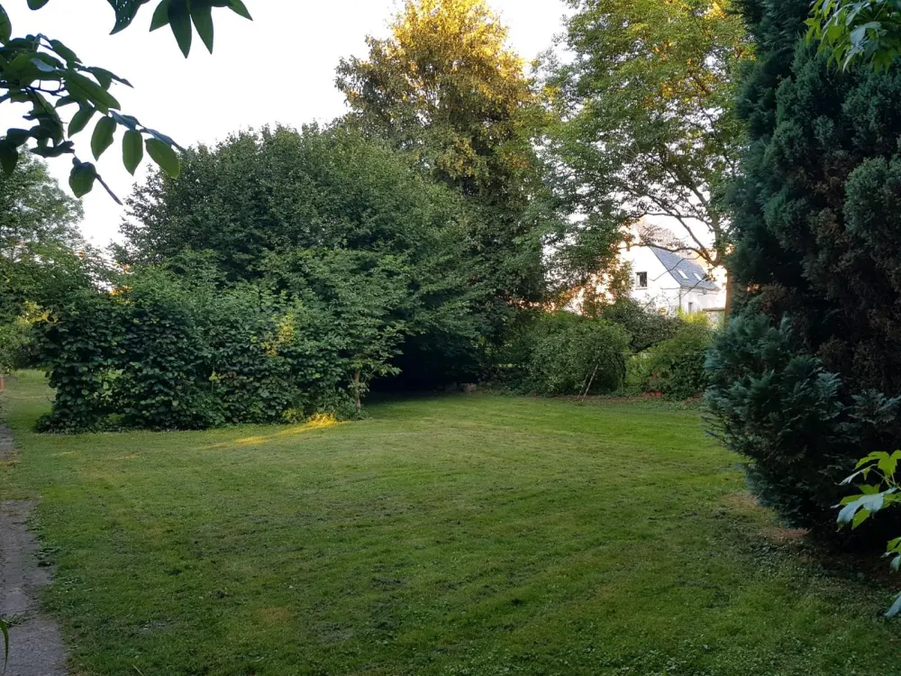 Traumwohnung nach Kernsanierung! 2 Zimmer, Terrasse & Garten