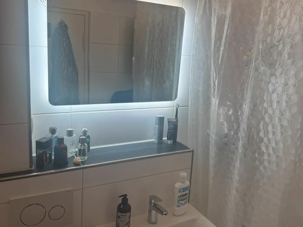 A bright fully furnished Apartment