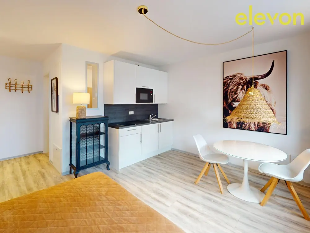 Moderne 1-Zimmer-Wohnung mit Einbauküche