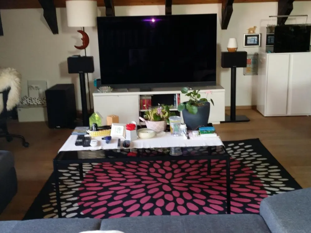 Ruhige 2-Zimmer-Whg. mit gehobener Ausstattung und Gartenanteil