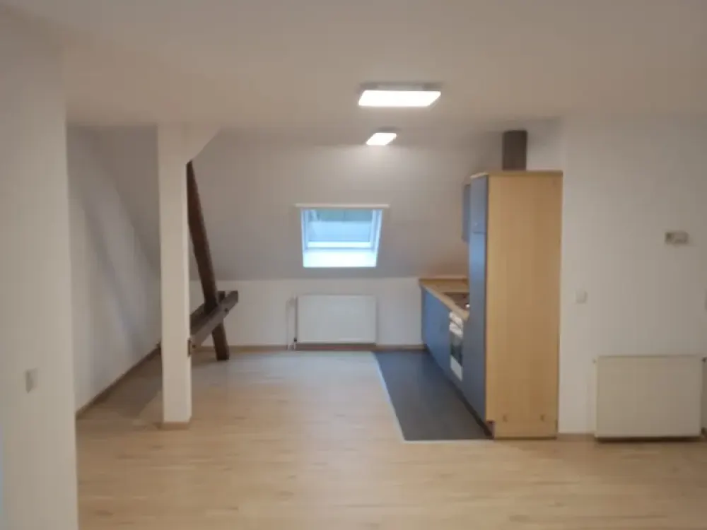 Erfurt-Altstadt, gepflegte 2 Zimmer mit EBK - direkt vom Eigentümer zu vermieten