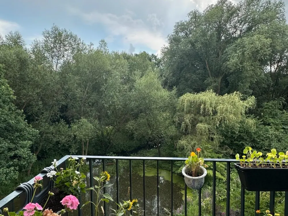 Wohnung Hamburg Untermiete 6 Monate