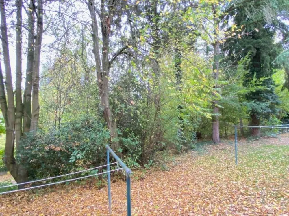 ERSTBEZUG nach Sanierung + Einzug ab 01.10.2026 möglich!
