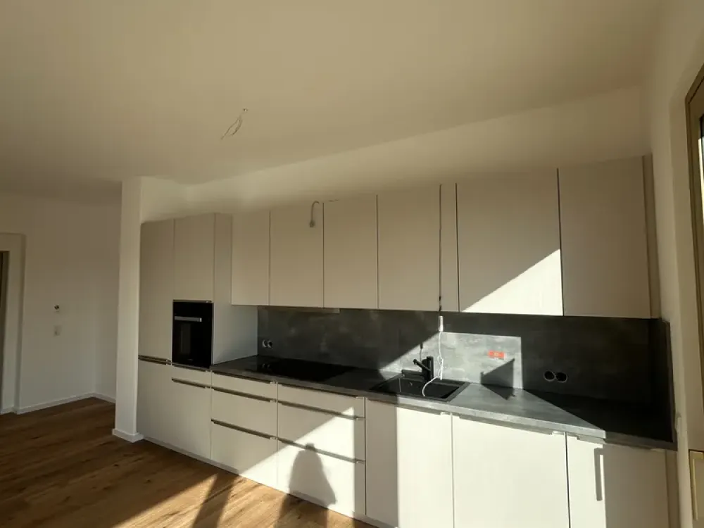 Exclusive 4-Room Penthouse with Roof Terrace at Misburger Forest