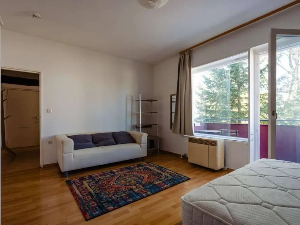 Bright & Furnished 1-room apartment with balcony, 12-months sublet