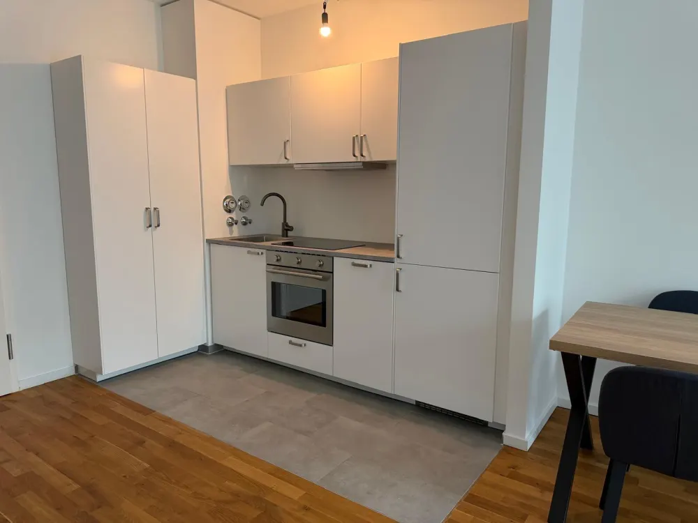 2-Zi. Neubau, 48qm inkl Einbauküche