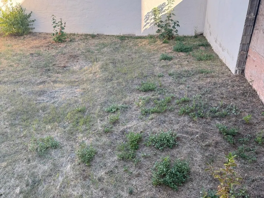 3 ZKB Erdgeschosswohnung frisch renoviert - kleiner Garten