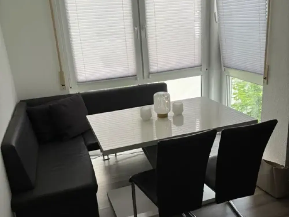 Renovated, fully furnished 2.5-room apartment near Bosch