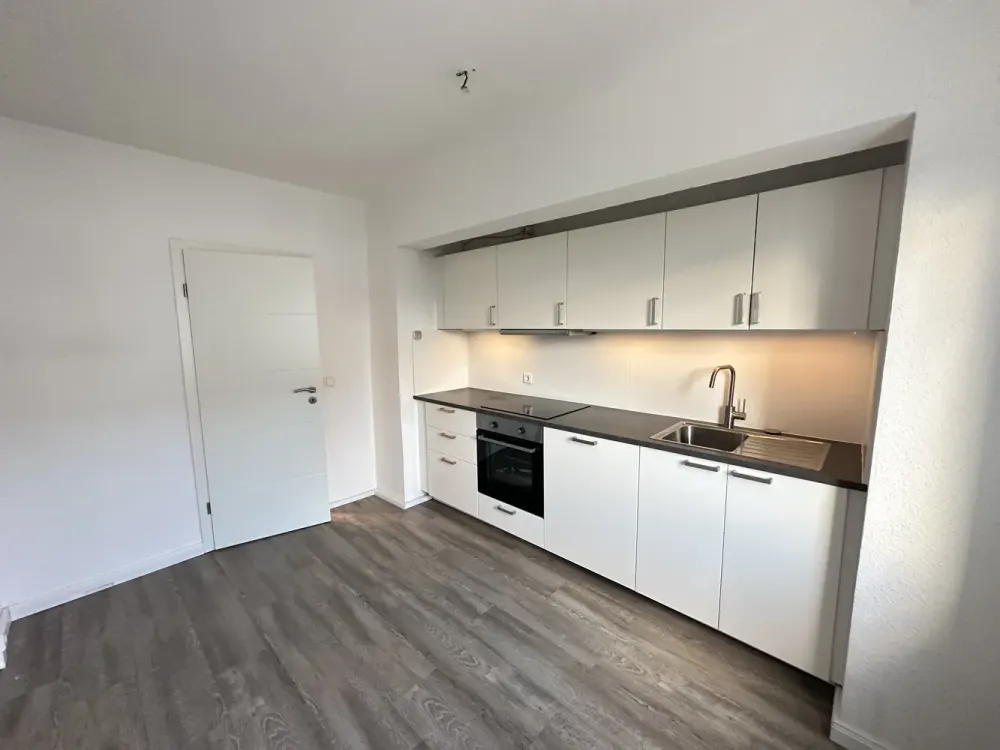 Renovated 3-Room Apartment with Modern Built-in Kitchen