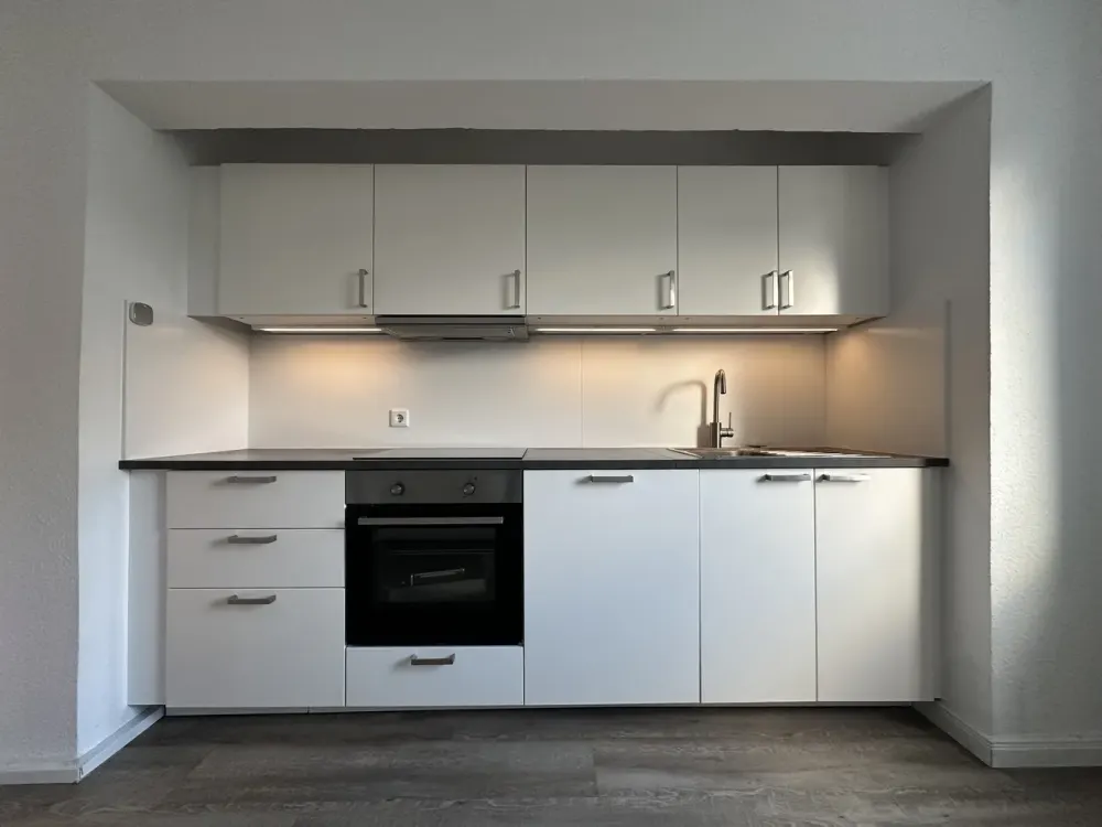 Renovated 3-Room Apartment with Modern Built-in Kitchen