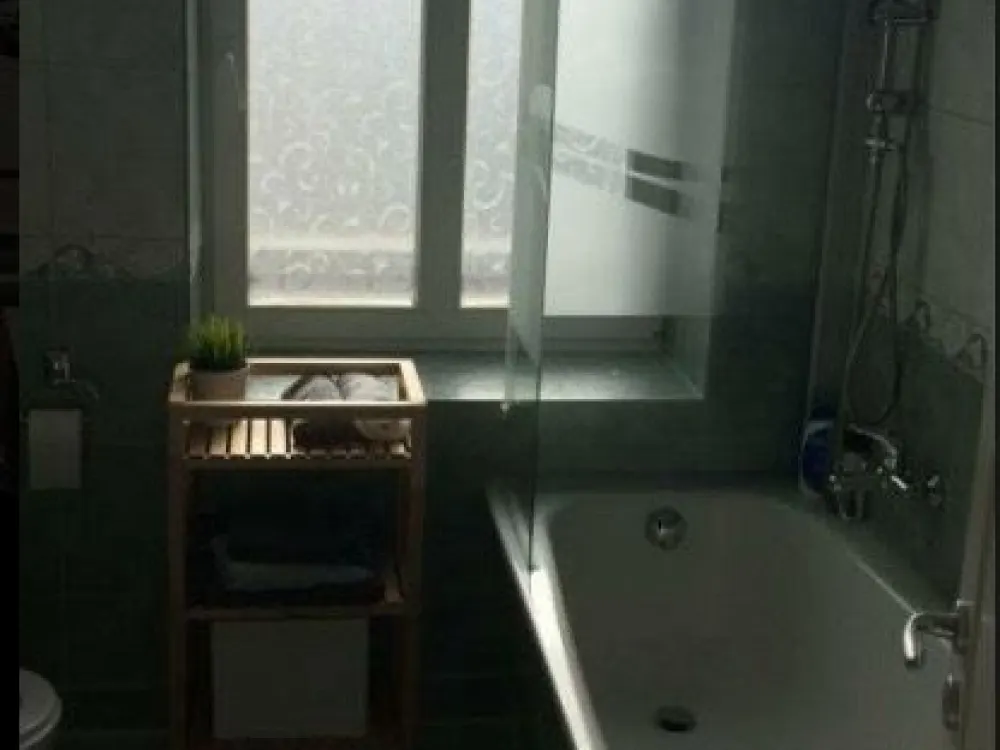 Looking for a New Tenant 2-3 Room Apartment at Lindenpark