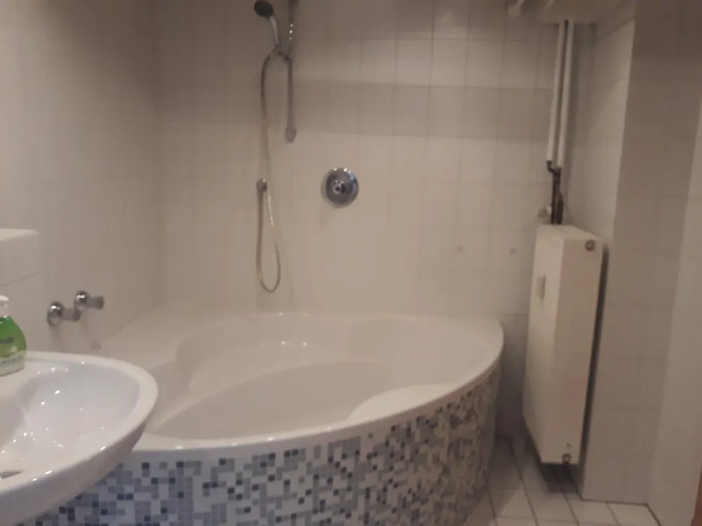 Einzimmerwohnung ab sofort zu vermieten