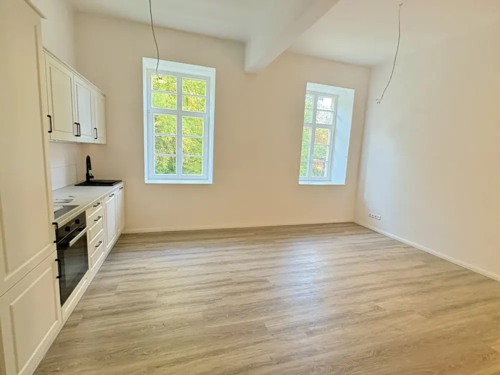 Small but Wow - Great 1-Room Apartment - First Occupancy with Elevator