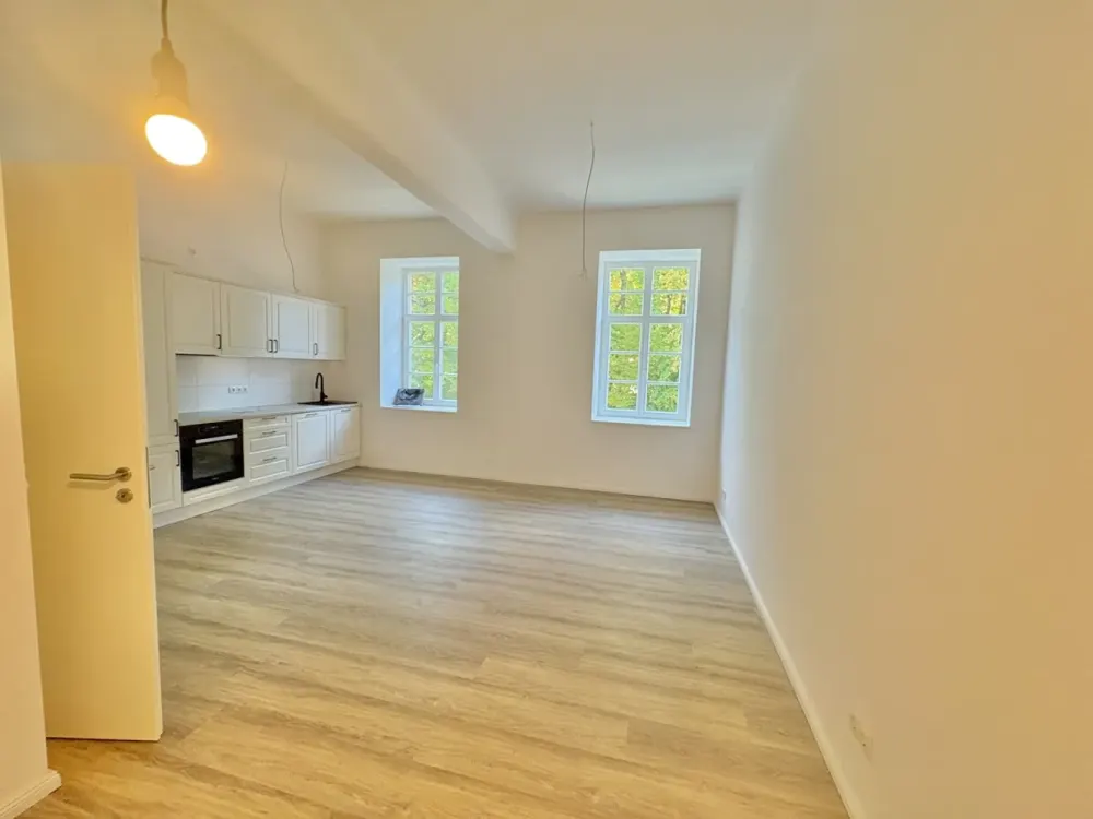Small but Wow - Great 1-Room Apartment - First Occupancy with Elevator